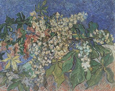 Vincent Van Gogh Blossoming Chestnut Branches (nn04)